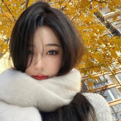 傻瓜拳击手